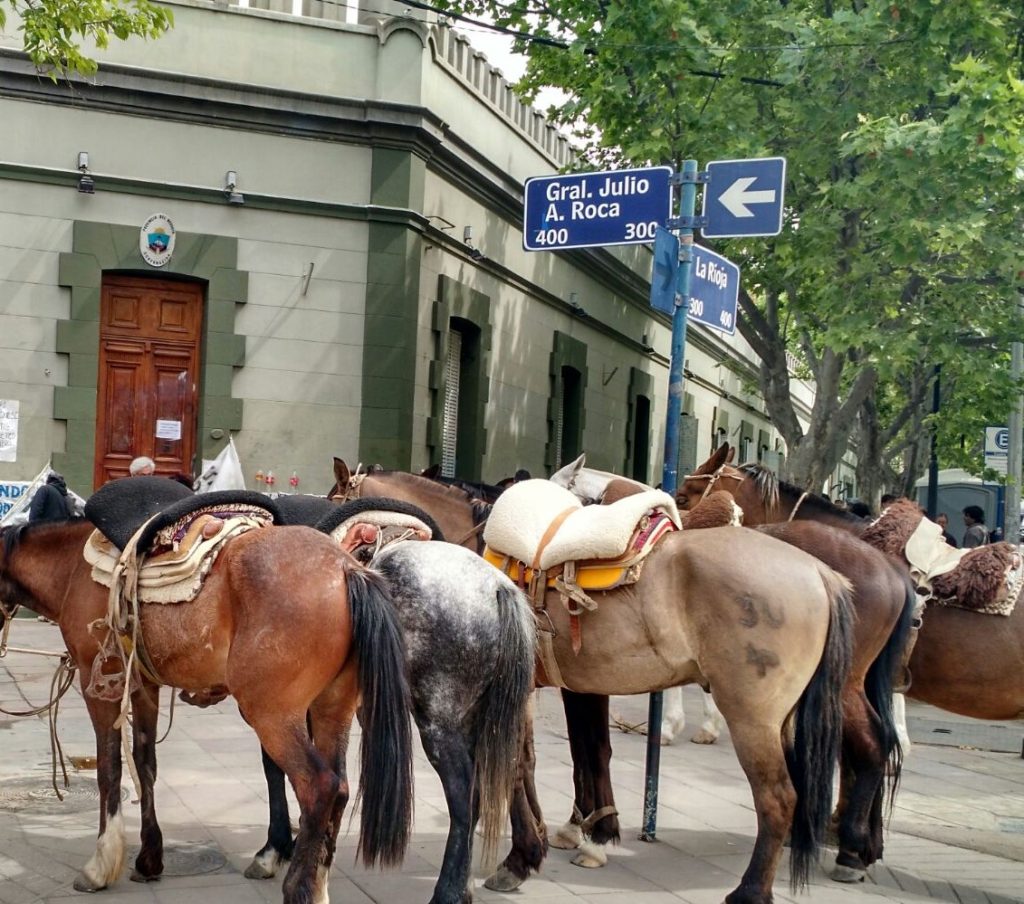 Crianceros junto a sus animales se manifestaron en Casa de Gobierno