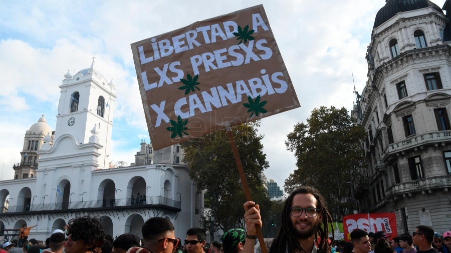 Marcharon al Congreso contra la criminalización del cultivo de marihuana