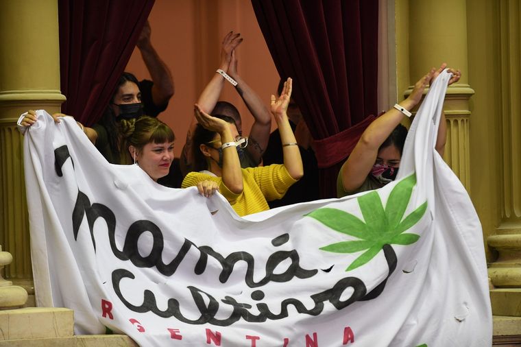 Diputados aprobaron la ley de desarrollo del cannabis medicinal