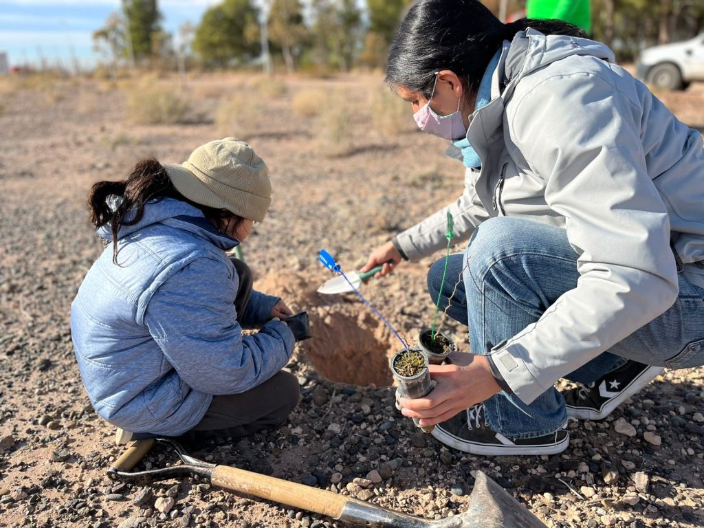 Reforestan Parque Norte con plantas nativas