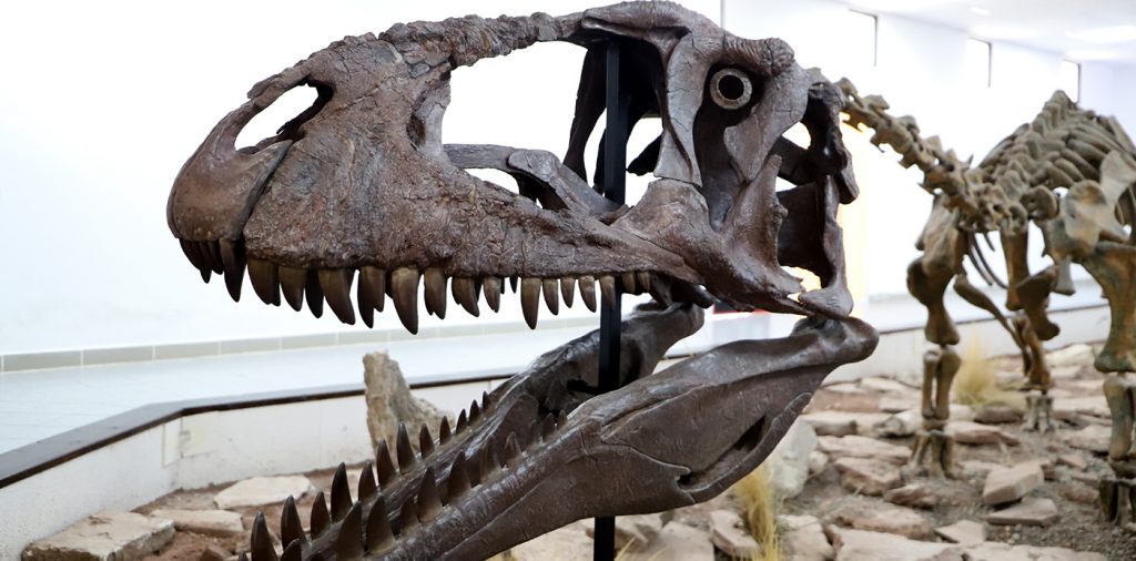 Presentaron a «Meraxes», un nuevo dinosaurio carnívoro gigante
