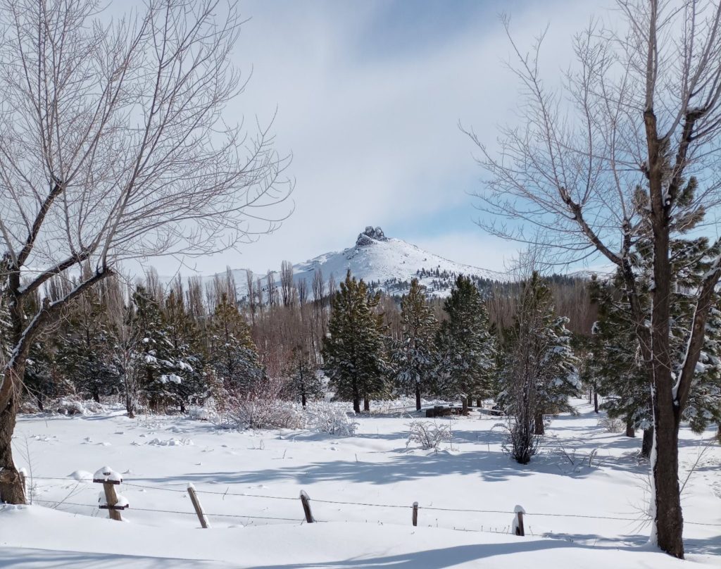 Advierten por intensas nevadas en la cordillera neuquina