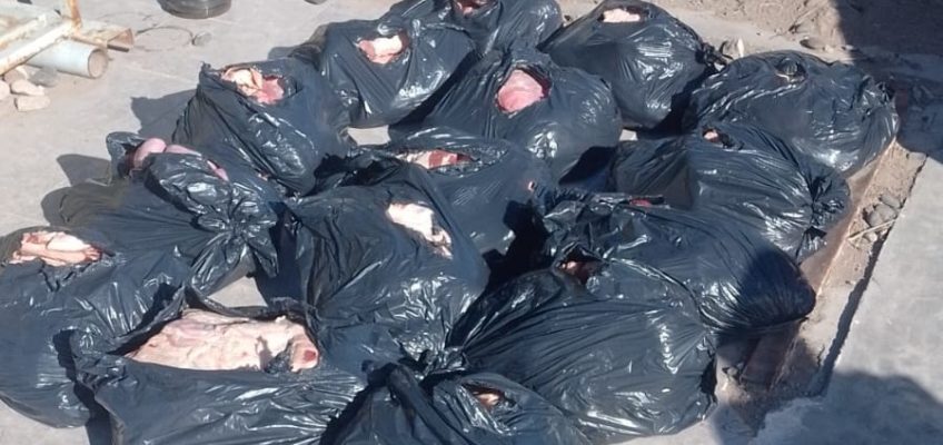 Decomisaron alrededor de 220 kilos de carne en Puente Dique