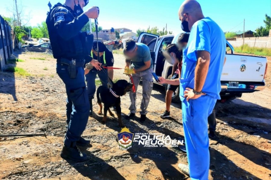 Capacitan a la Policía provincial en Derecho Animal