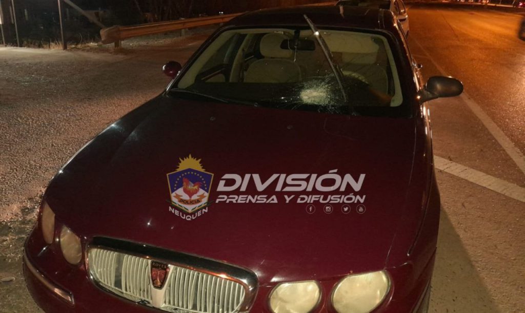 Detienen a un joven por arrojar piedras a los autos que circulaban por la Ruta 7