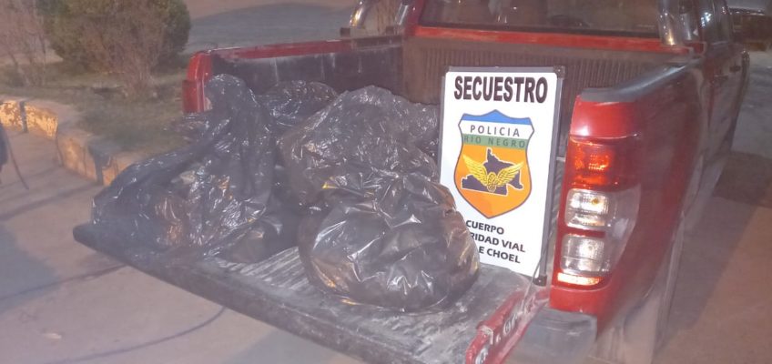 Decomisaron 50 kilos de mariscos en un control vehicular en Choele Choel