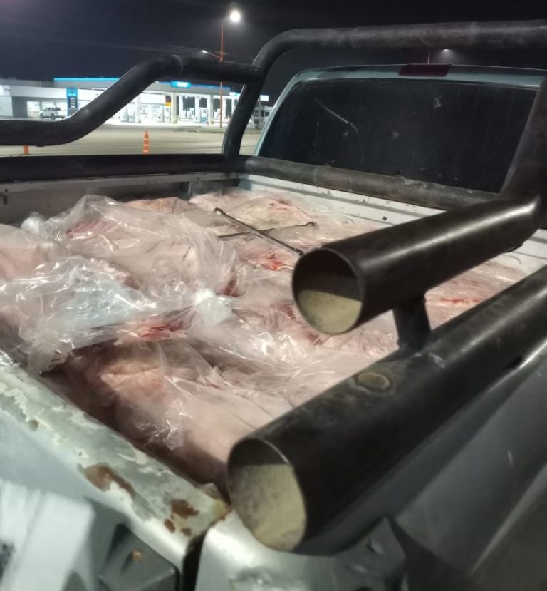 Decomisaron más de 2000 kilos de carne transportada de manera ilegal