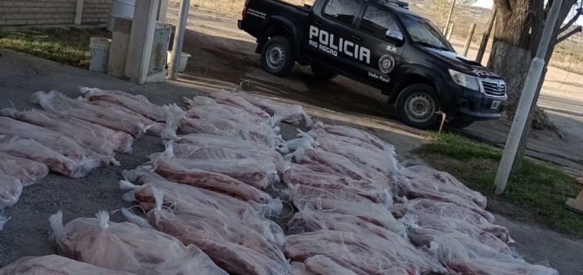 Otro importante decomiso de 1000 kilos de carne en Río Negro
