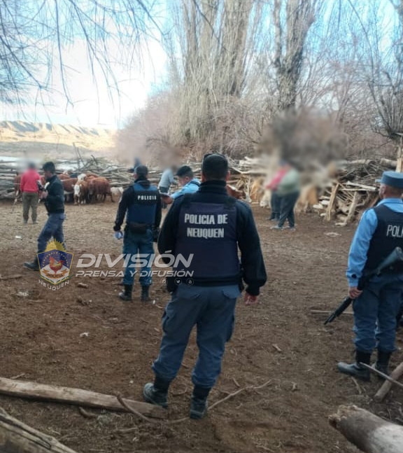 Bajada del Agrio: Recuperan animales robados