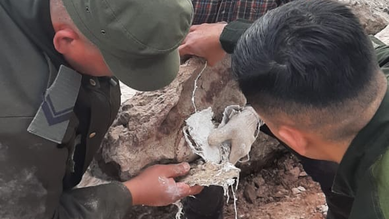 Hallaron restos de dinosaurios en la costa del lago Los Barreales