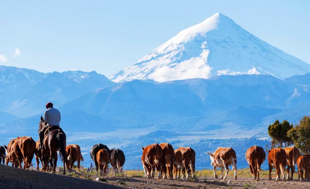 Fiscal de Estado de Neuquén advirtió que la decisión sobre el Lanín termina «con Nación pidiendo la escritura del volcán»