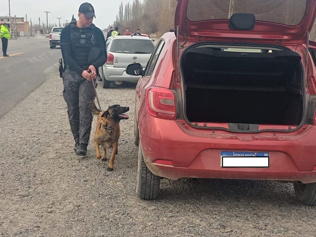 El perro Máximo detectó un auto que transportaban cocaína y marihuana