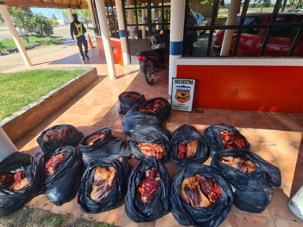 Decomisan 500 kilos de carne en el puesto de control en Choele Choel