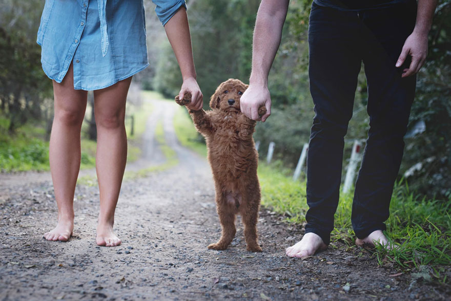 ¿Por qué la juventud no aspira al proyecto de hijos y familia?