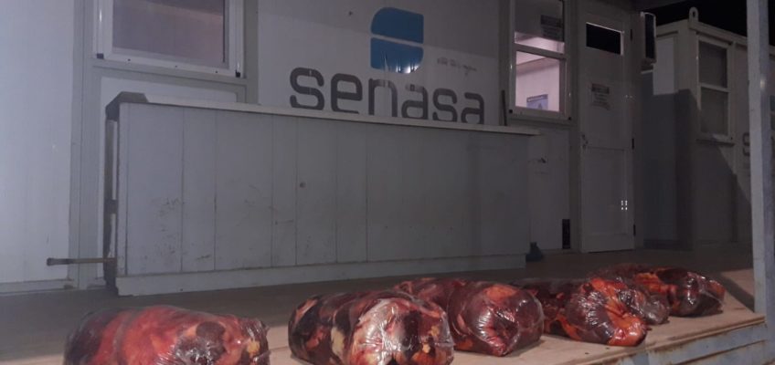 Puente Dique: Decomisaron más de 170 kilos de carne ilegal