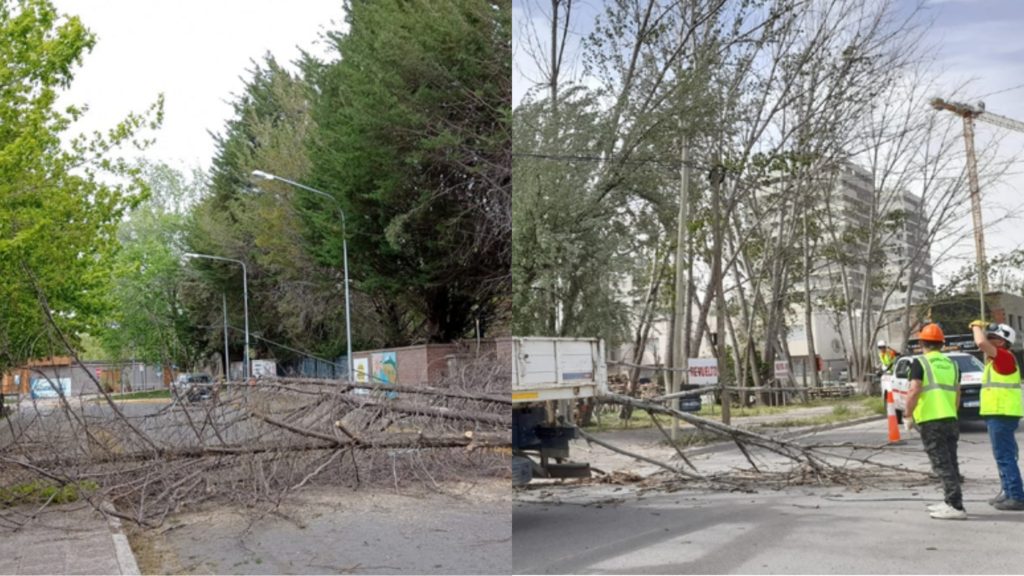 El viento llegó a la región y dejó árboles y postes caídos