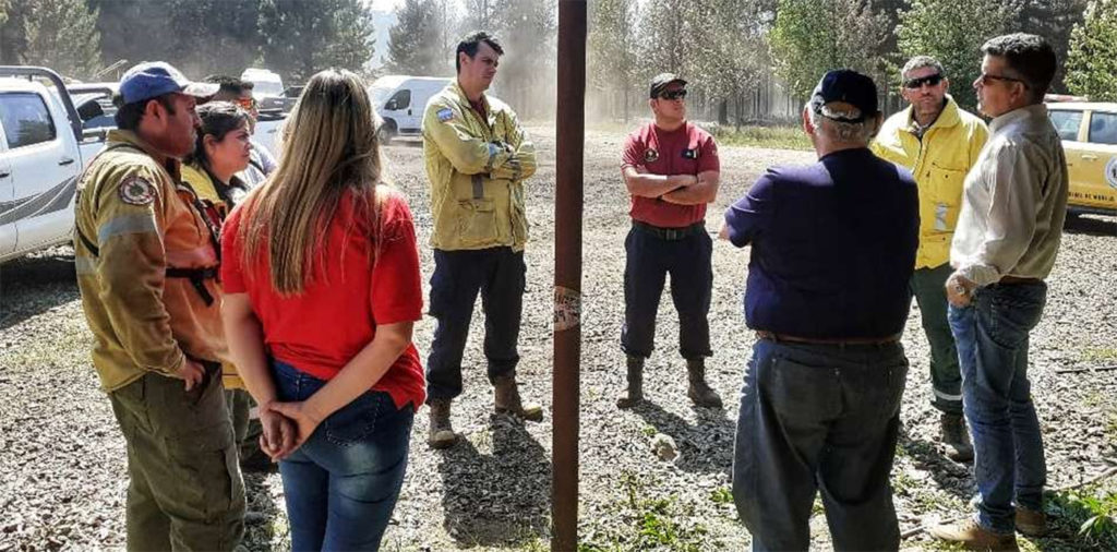 Declaran de «interés federal ambiental» la restauración y rehabilitación del bosque Quillén