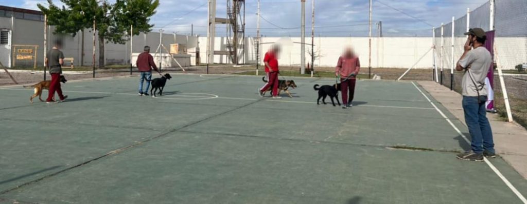 Inclusión: Lanzan programa de adiestramiento de perros para internos de la U11