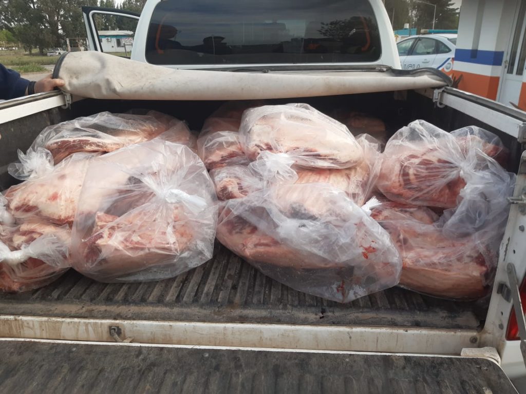 Decomisan unos 500 kilos de carne transportada de forma irregular