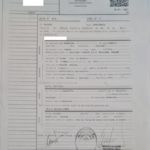 IMG-20221130-WA0013-683×1024