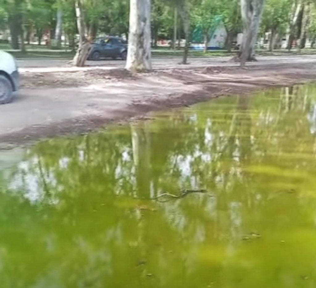 Vecinos de Centenario denuncian que conviven con agua de lluvia podrida en las calles