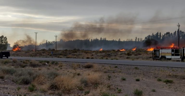 Nuevo incendio de pastizales en Senillosa