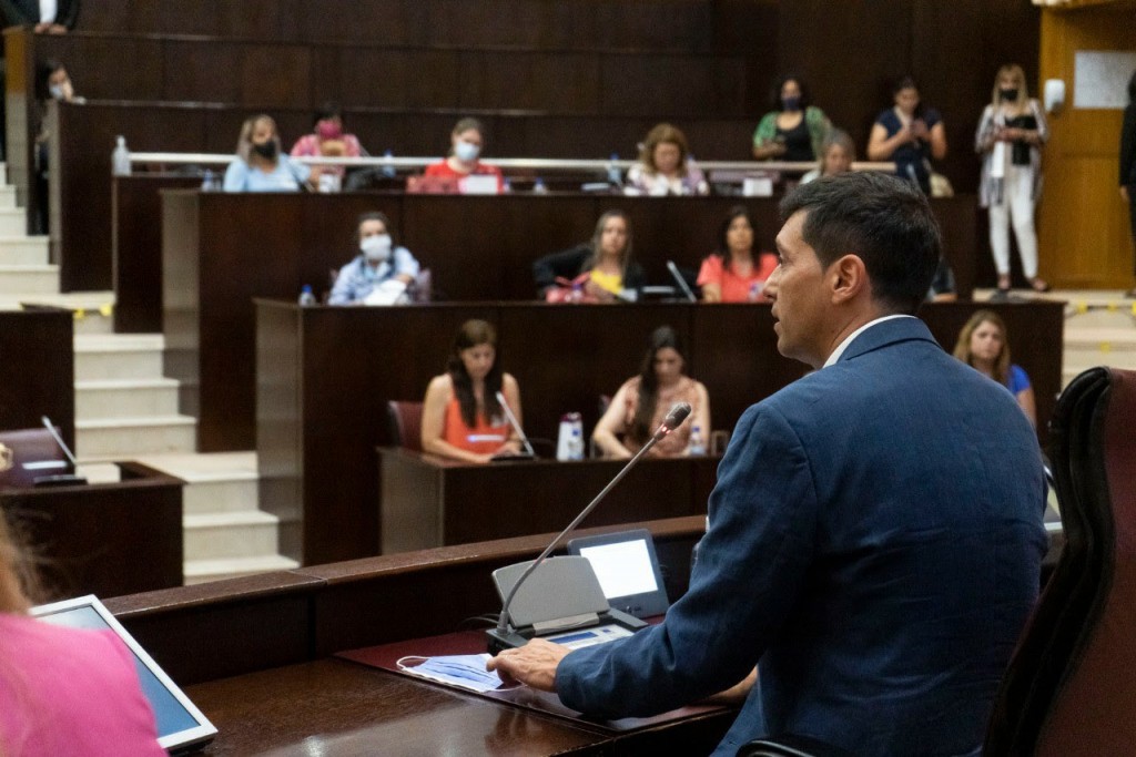 Koopmaan adelantó que en 15 días habría despacho para el boleto estudiantil universal y gratuito