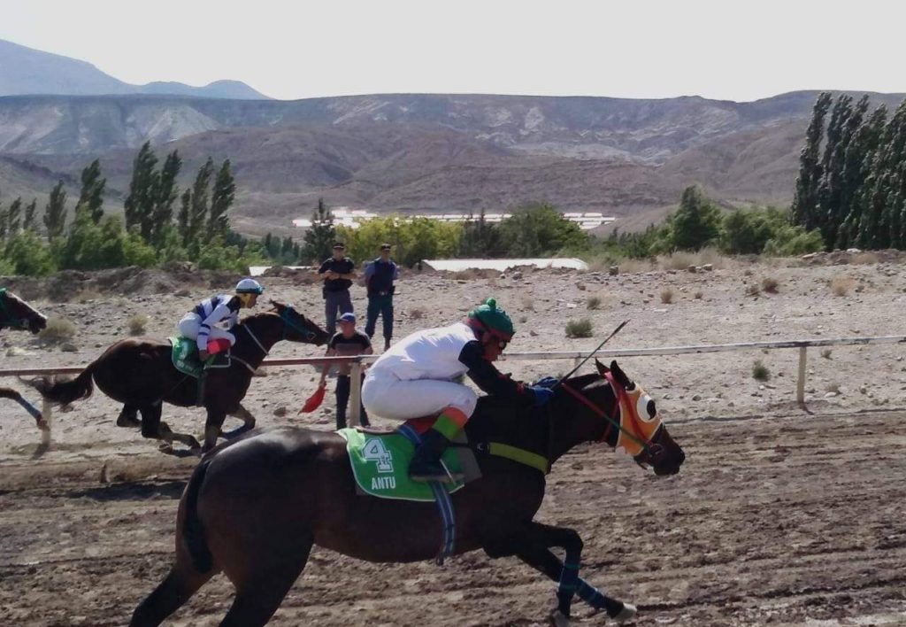 Hombre fue acusado de organizar carreras de caballos ilegales en Chos Malal