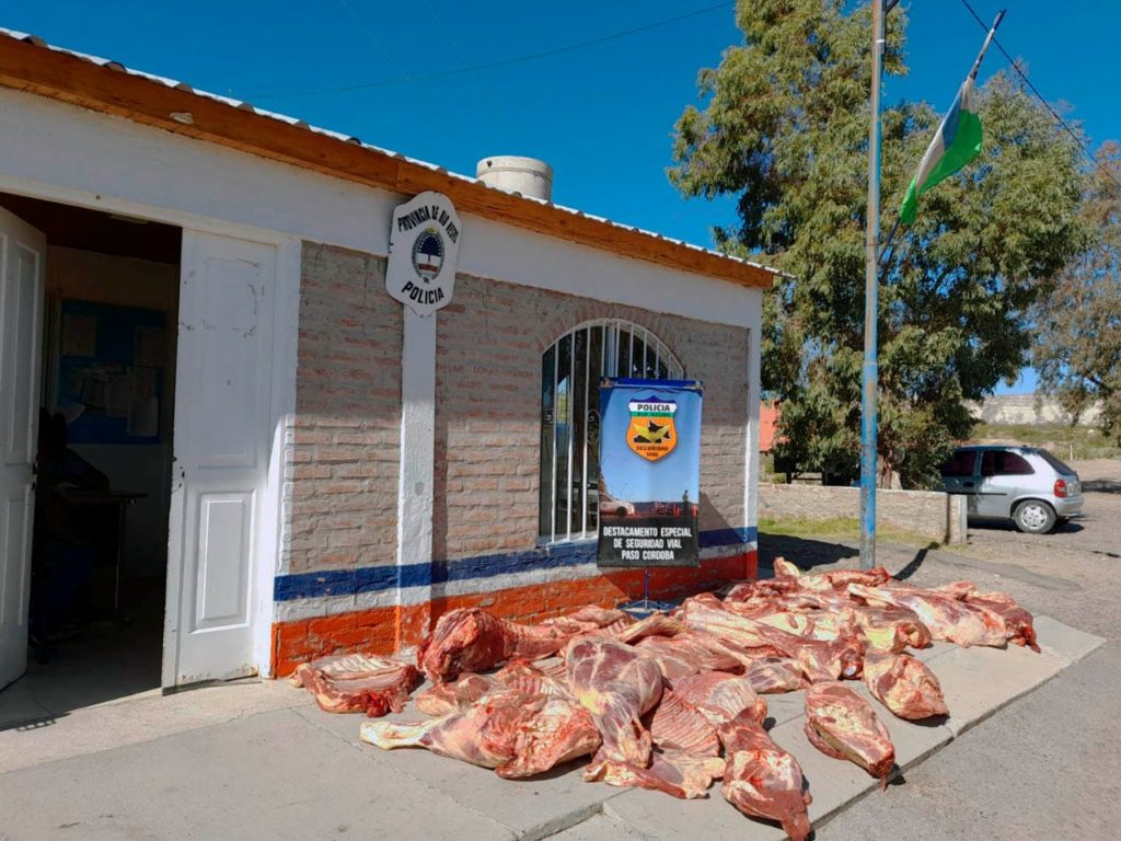 La policía rionegrina decomisó más de 19 mil kilos de carne durante el 2022