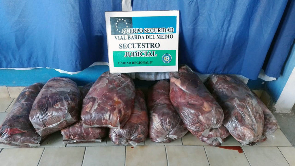 Decomisan 150 kilos de carne transportada de manera ilegal