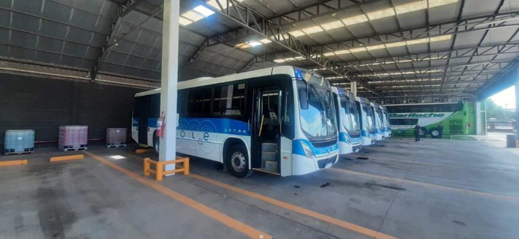 Este viernes se presentarán los nuevos colectivos de Neuquén capital