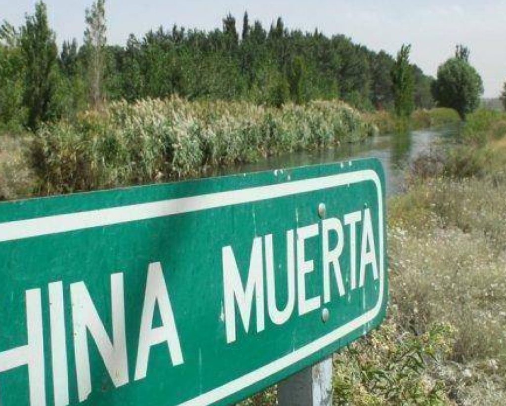 Identificaron a la mujer que perdió la vida por salvar a su hijo