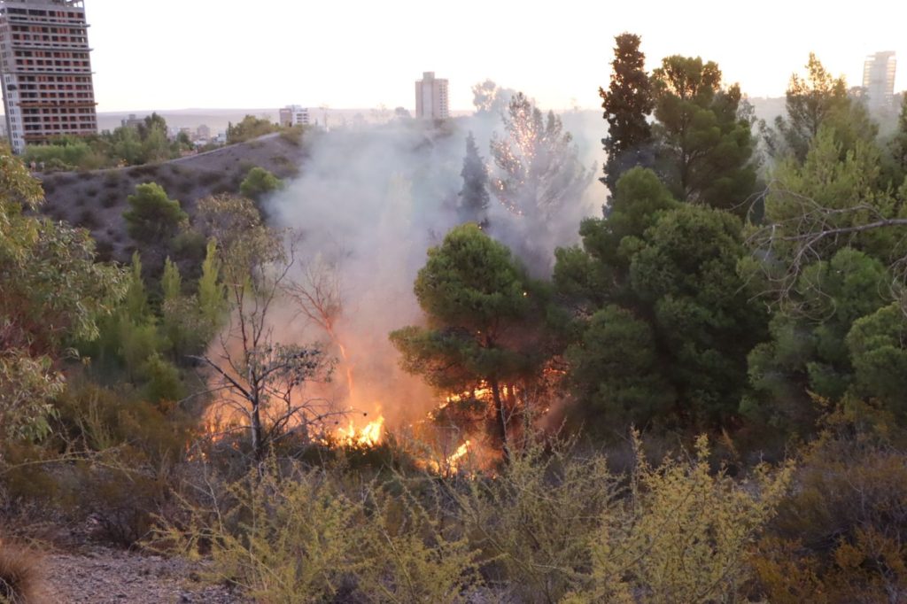 Repudiable: Desconocidos generaron incendios en Parque Norte