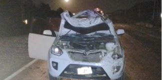 foto: Gentileza