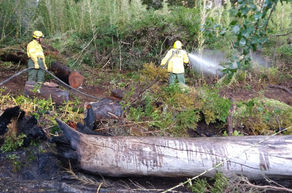 Brigadistas logran apagar incendios intencionales en Quillén después de una semana de trabajo