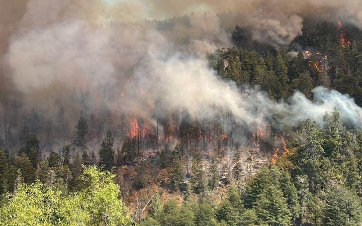 Luchan contra un incendio forestal en El Bolsón