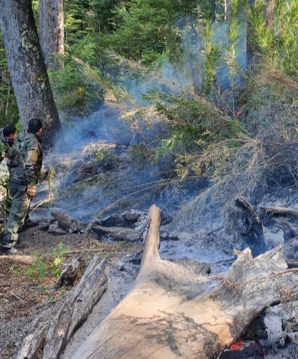 Dos detenidos con drogas en un incendio cerca del Lago Quillén