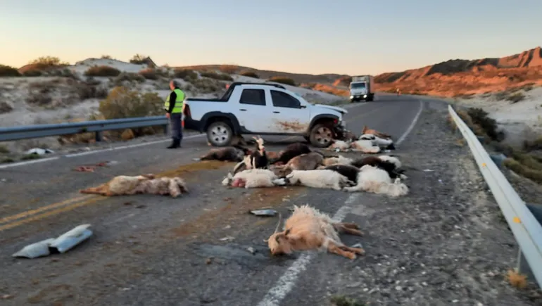 Tragedia en la Ruta 40: Camioneta atropella arreo de chivas