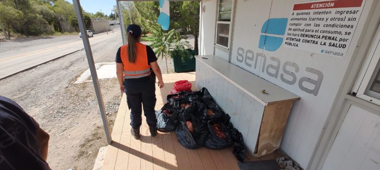 Catriel: Policía secuestró más de 300 kilos de carne