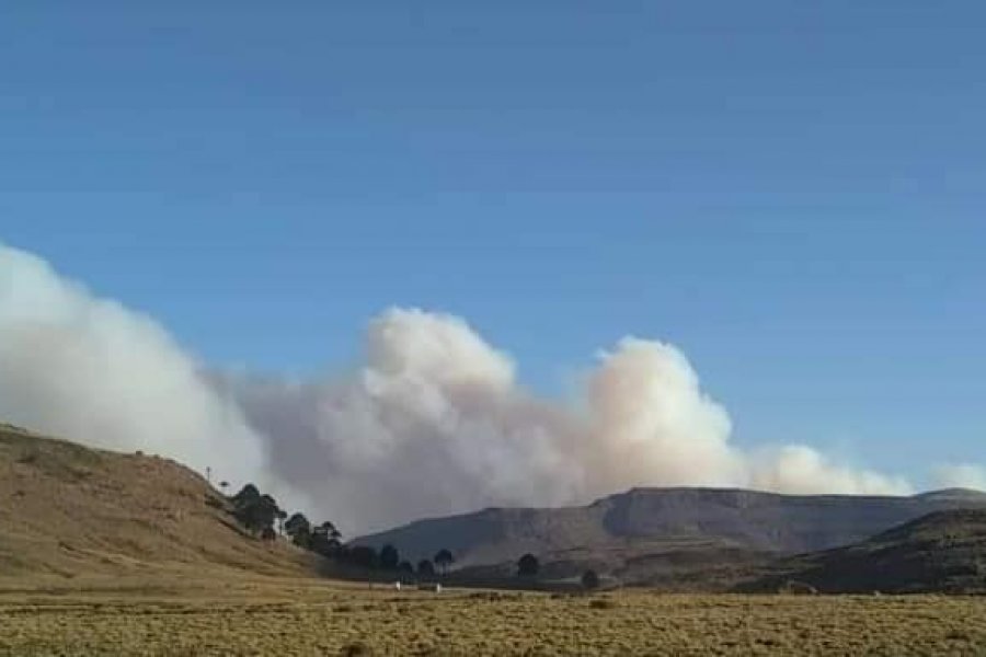Incendio forestal en Chile, afecta zona de Cajón de los Barros y Las Lecheras