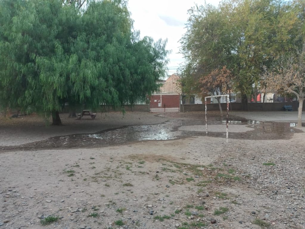 Una «laguna» de excrementos en el patio de la escuela