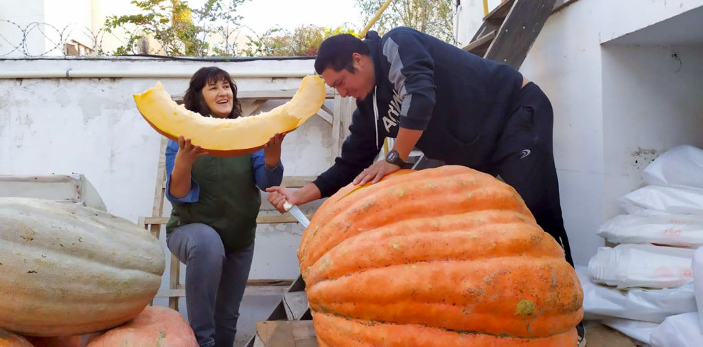 Los zapallos gigantes terminaron en buenas manos y pancitas