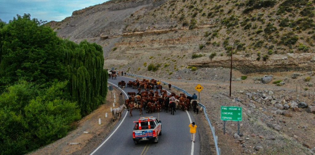 Operativo contra el mal clima: Neuquén se prepara con seguridad en las rutas