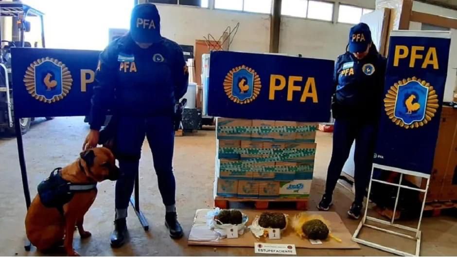 Intentaron meter un kilo de cannabis en San Martín de los Andes a través de una encomienda