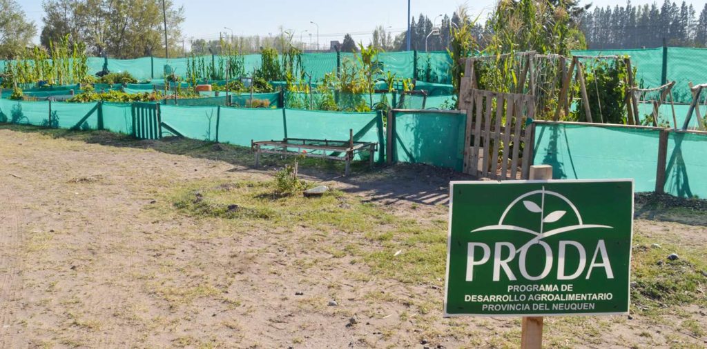 Ataque vandálico deja en ruinas la huerta comunitaria de Parque Industrial