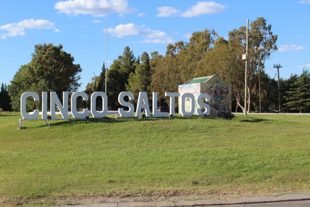 Liberaron a un guanaco desnutrido y dos loros enjaulados de una casa en Cinco Saltos