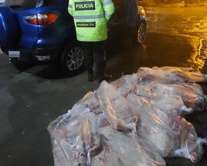 Policía secuestró 200 kilos de carne en la Ruta 22