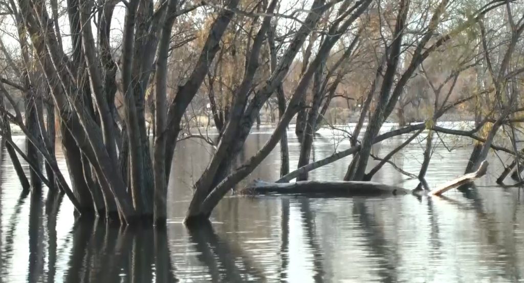 Recomiendan evitar las zonas costeras por la crecida del río Neuquén