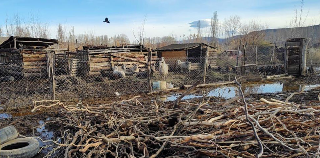 La declaración de la emergencia agropecuaria no alcanza a familias rurales