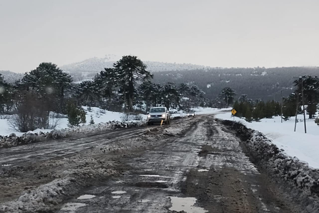 Piden informes a Vialidad por el abandono de rutas 13 y 23